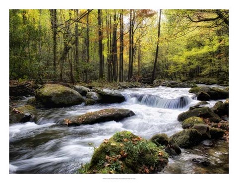 Framed Over Flow II Print