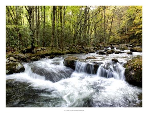 Framed Waterslide Print