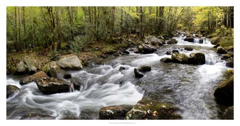Framed Up the Creek Panorama Print