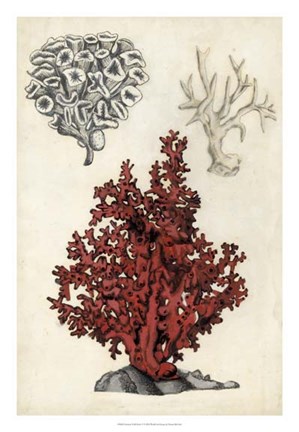 Framed Seashore Field Notes V Print