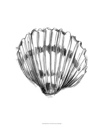 Framed Shell Sketch VI Print