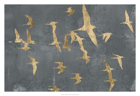 Framed Silhouettes in Flight IV Print