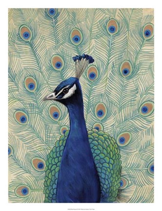 Framed Blue Peacock II Print