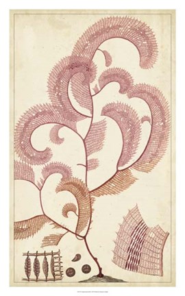 Framed Turpin Seaweed III Print