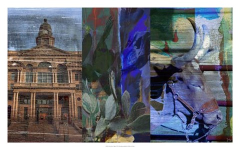 Framed Texas Steer Collage Print