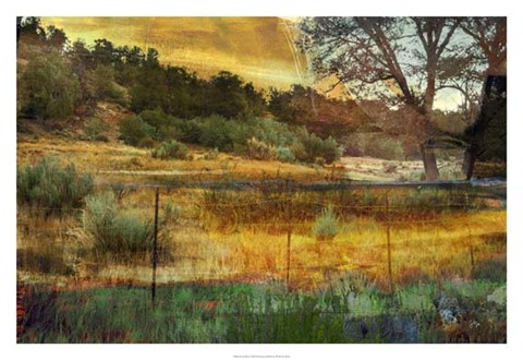 Framed In the Brush Print