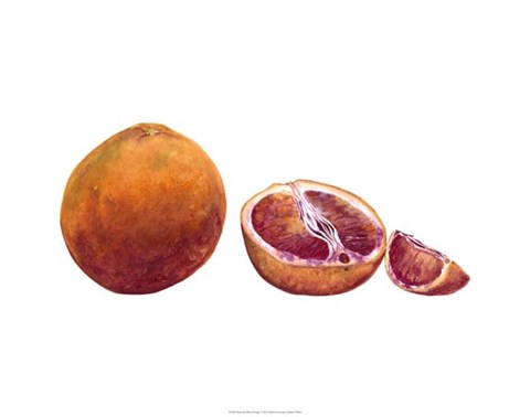 Framed Watercolor Blood Orange Print