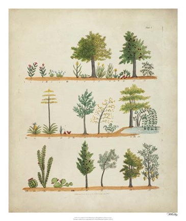 Framed Arbor Sampler II Print