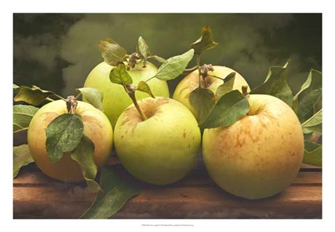 Framed Jill&#39;s Green Apples II Print