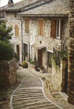 Framed Village Homes Print