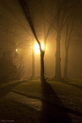 Framed Light Through The Mist Print