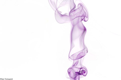 Framed Pink Purple Swirly Smoke Print