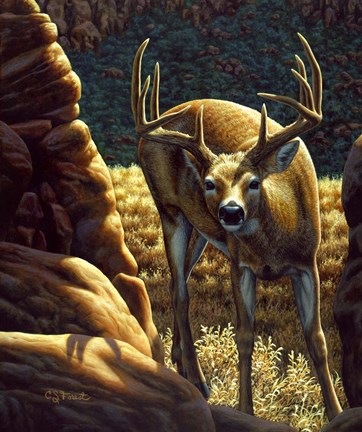 Framed Double Take Print