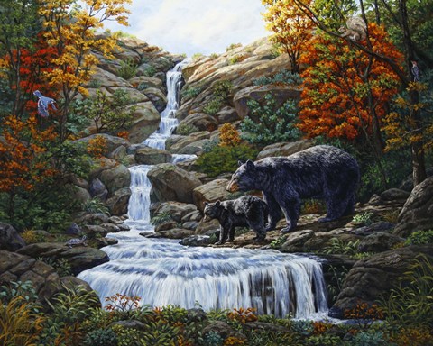 Framed Black Bear Falls Print