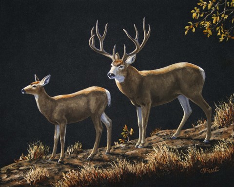 Framed Mule Deer Ridge Print