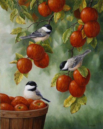 Framed Apple Harvest Chickadees Print
