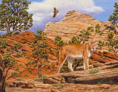 Framed Don't Move Print