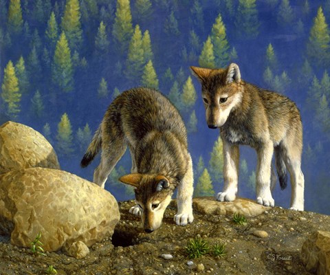 Framed Anybody Home? Print