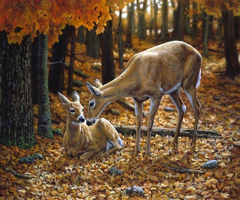 Framed Autumn Innocence II Print