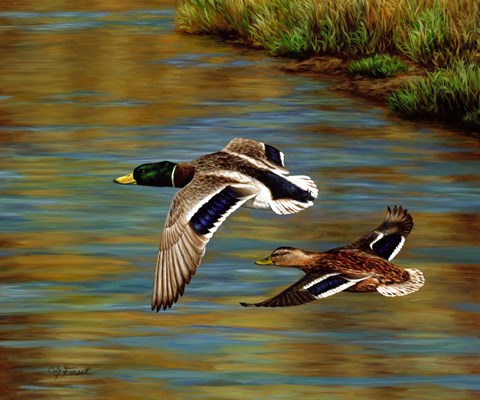 Framed Golden Pond Print