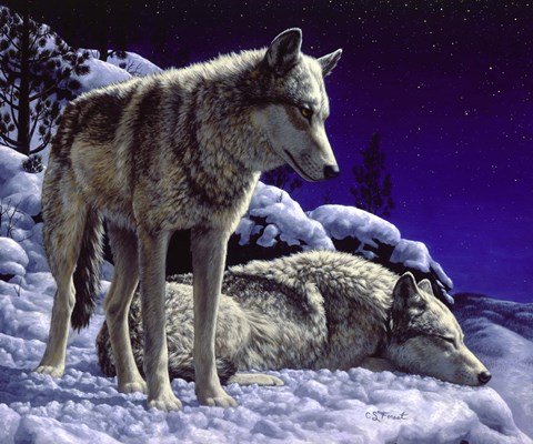 Framed Night Watch Print