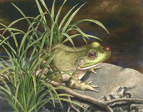 Framed Something to Smile About Print