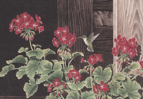 Framed Summer&#39;s Treat Detail Print