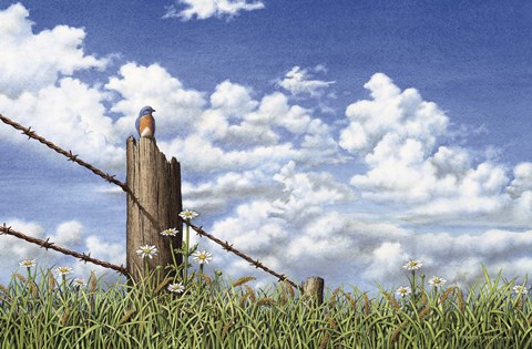 Framed King of the Field Print