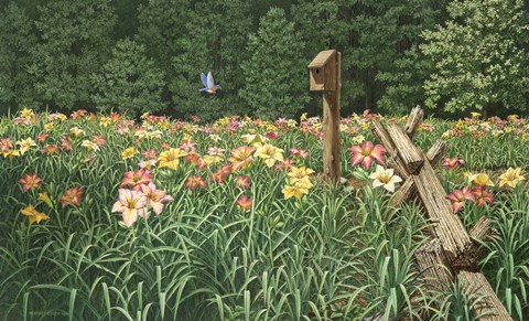 Framed Daylily Days Print