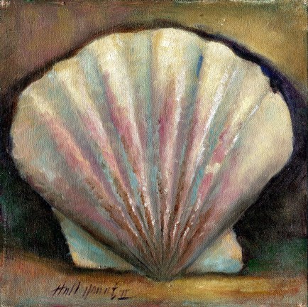 Framed Scallop Print