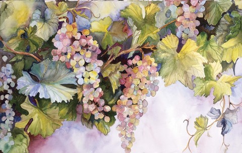 Framed Grapes On The Vine Print