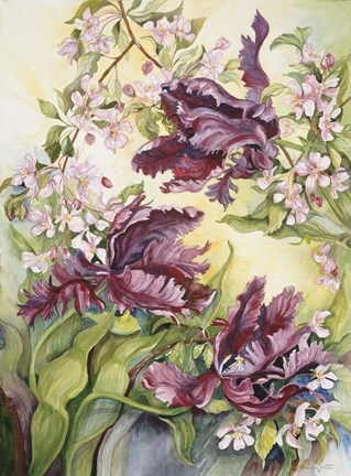 Framed Parrot Tulips With Cherry Blossoms Print