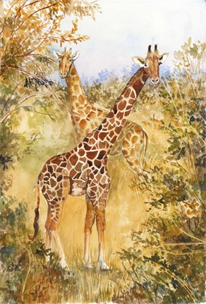Framed Giraffes Print