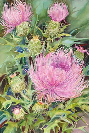 Framed Thistles Print