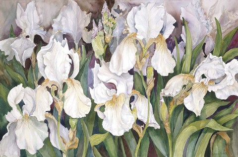 Framed Field Of Iris Print