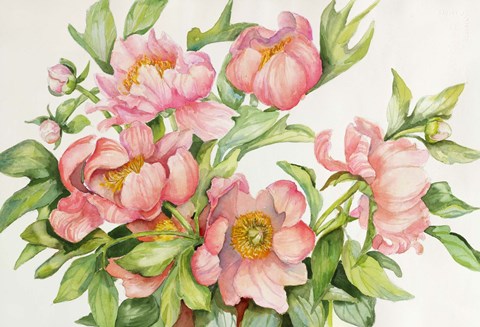 Framed Peony Spray Print