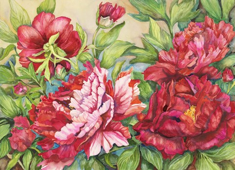Framed Peonies In Shades of Red Print