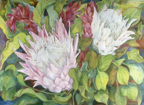 Framed Protea And Red Ginger Print