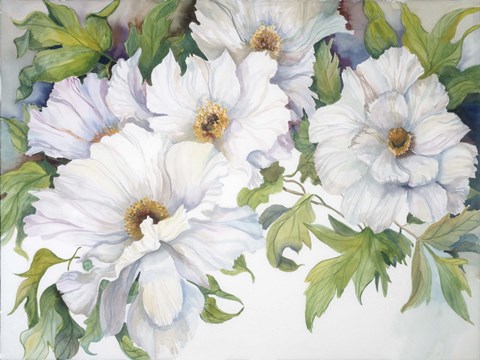 Framed White Peonies Print