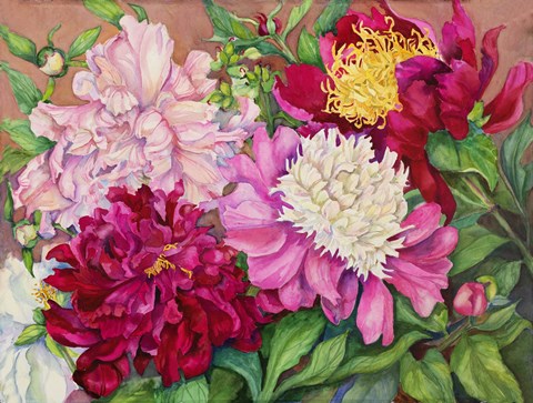 Framed Cheryl&#39;s Peony Garden Print