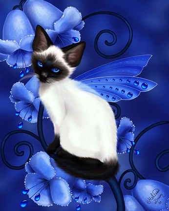 Framed Sapphire Cat Print