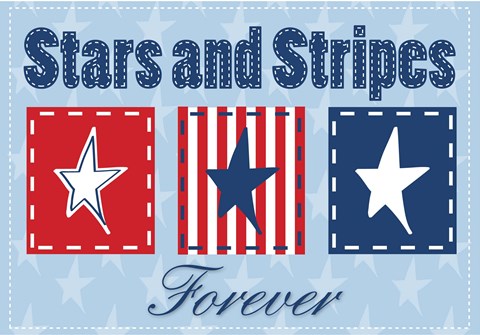Framed Stars and Stripes Print