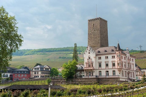 Framed Carl Jung Vineyard, Boosenburg Castle Print