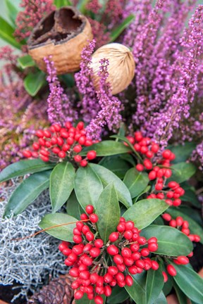 Framed Christmas Floral Decorations Print