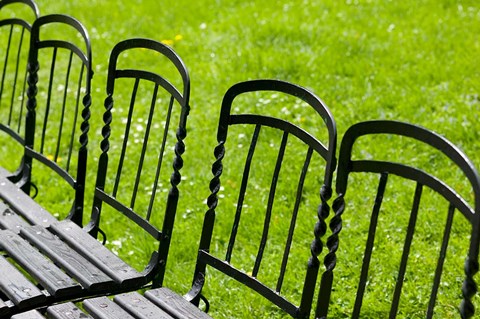 Framed Park Benches in Palace Gardens, Austria Print
