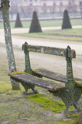 Framed Park Bench in the Gardens, Chateau de Fontainebleau Print