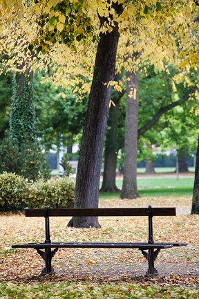 Framed Parc de la Pepiniere, France Print