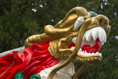 Framed Chinese Dragonboat Print