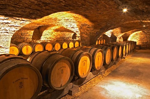 Framed Oak Barrels in Cellar at Domaine Comte Senard Print