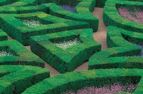 Framed Jardins et Chateau Villandry, Indre-et-Loire, France Print